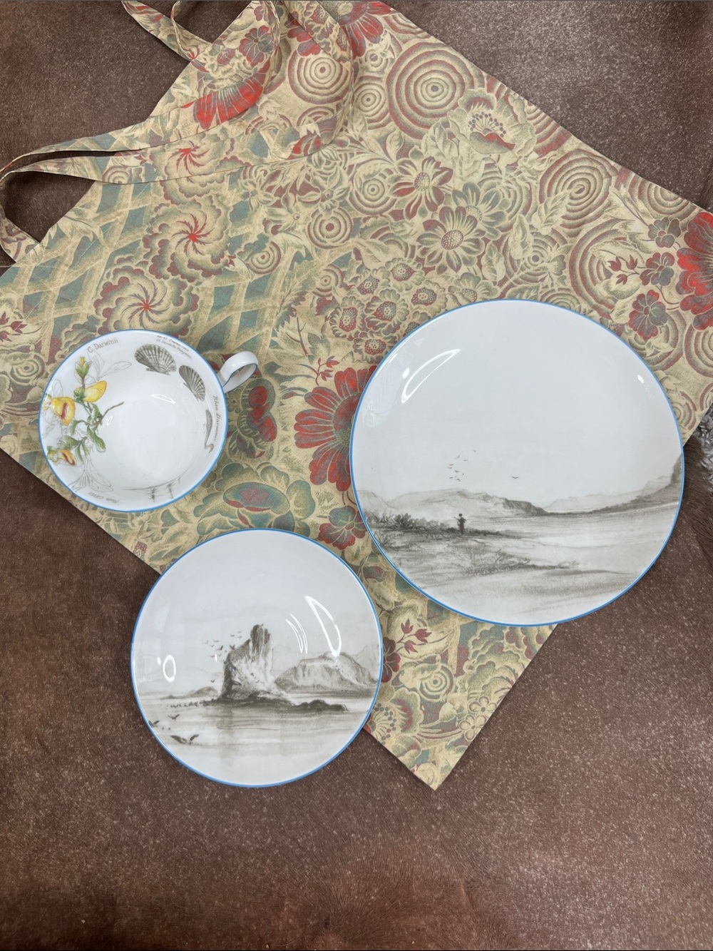 Wedgewood Darwin Voyage of the Beagle Patagonia Teacup Saucer Plate 3 Pc Set